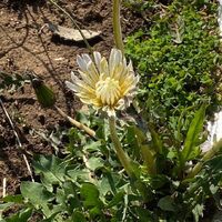 画像1907