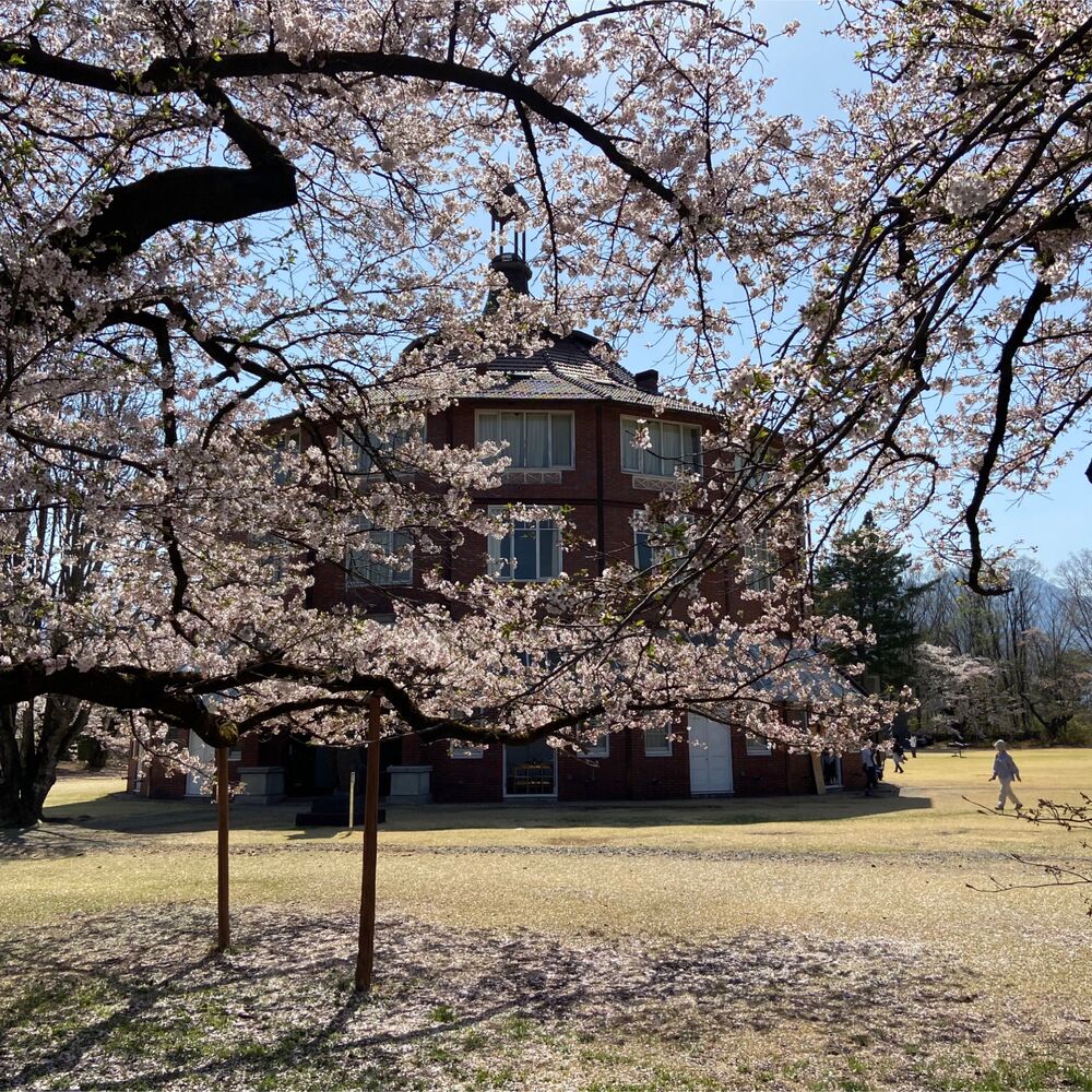 画像1927