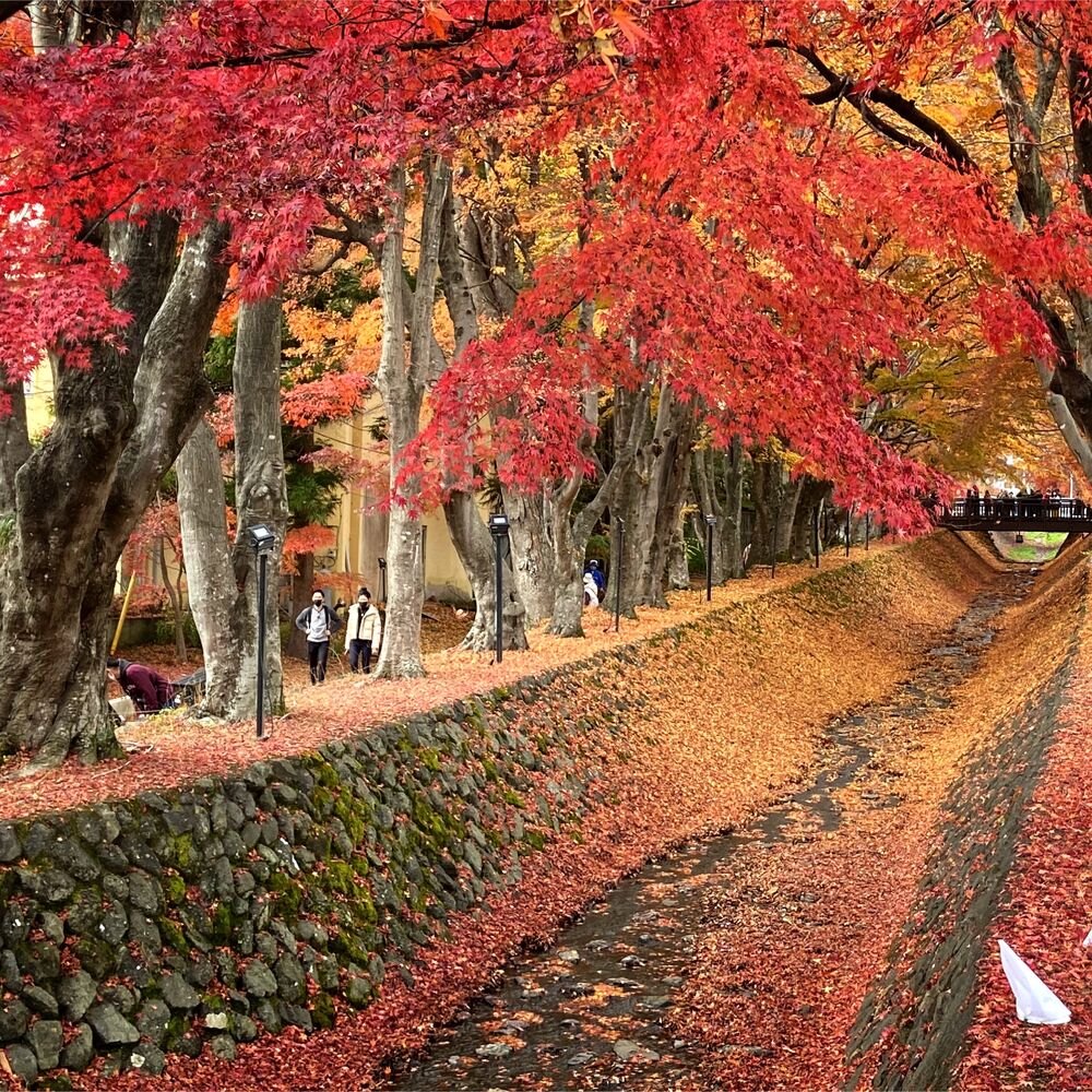 画像2050