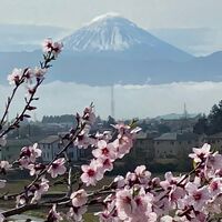 画像2157