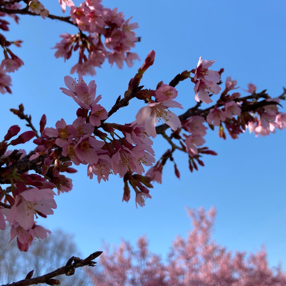 画像2172