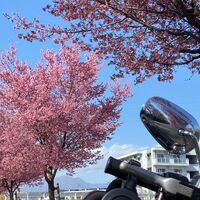 画像2206