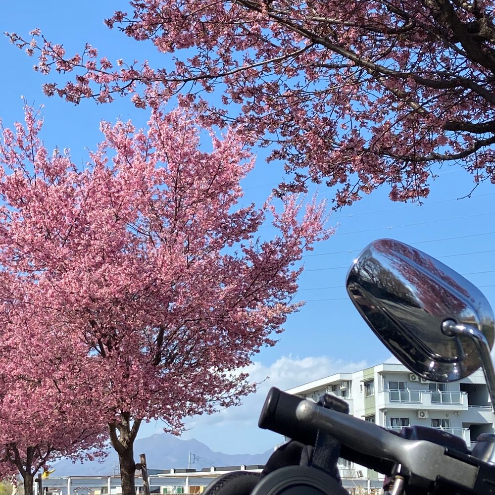 画像2206