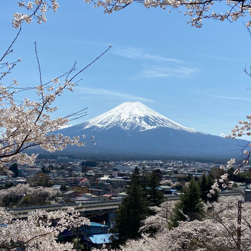 画像2217