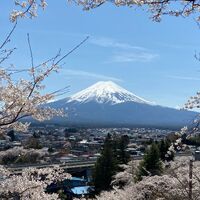 画像2222