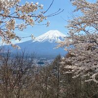 画像2227