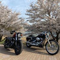 画像2232