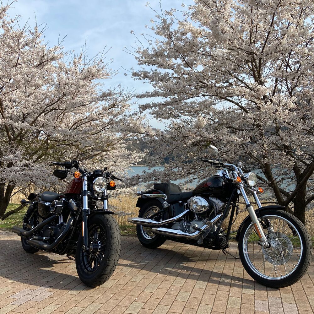 画像2232