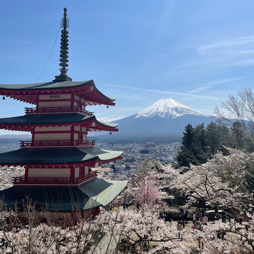 画像2264