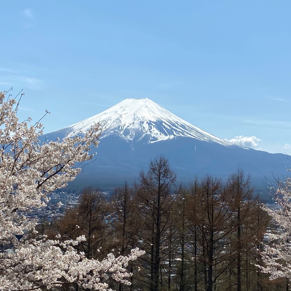 画像2272