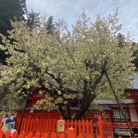 画像2292