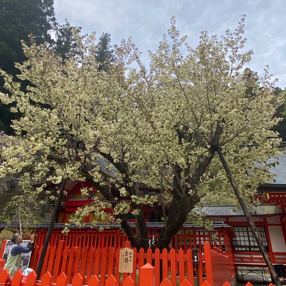 画像2292