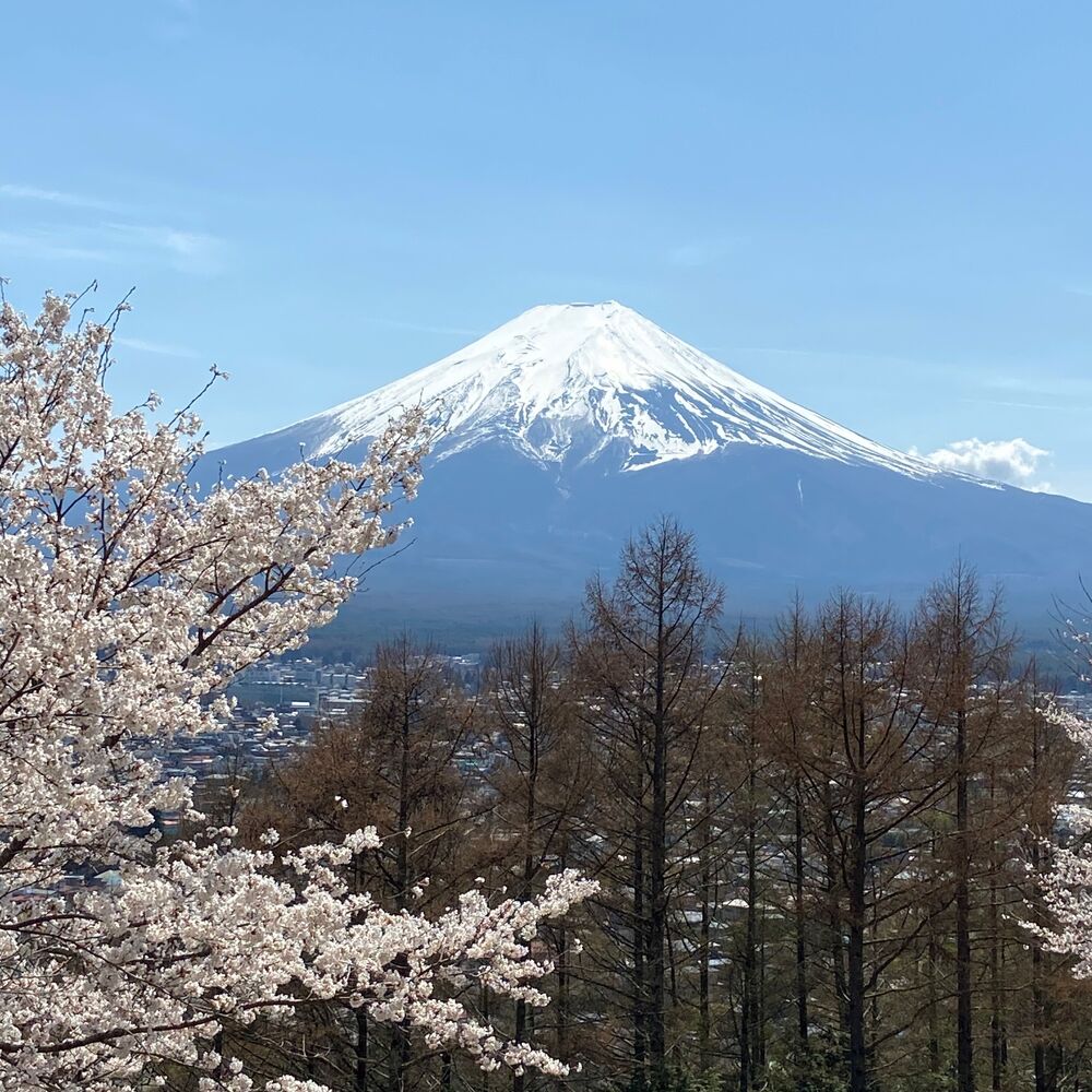 画像2344