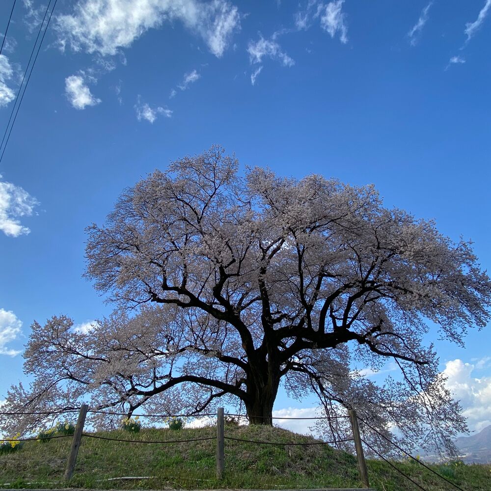 画像2366