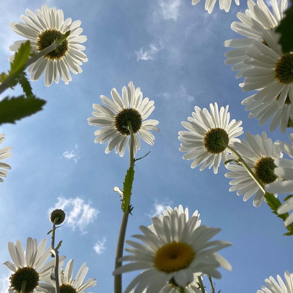 画像2444