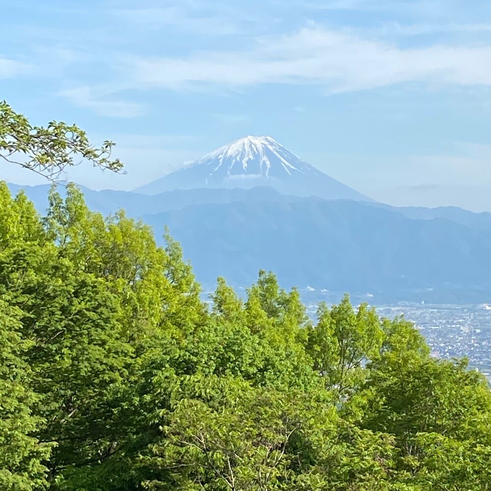 画像2454