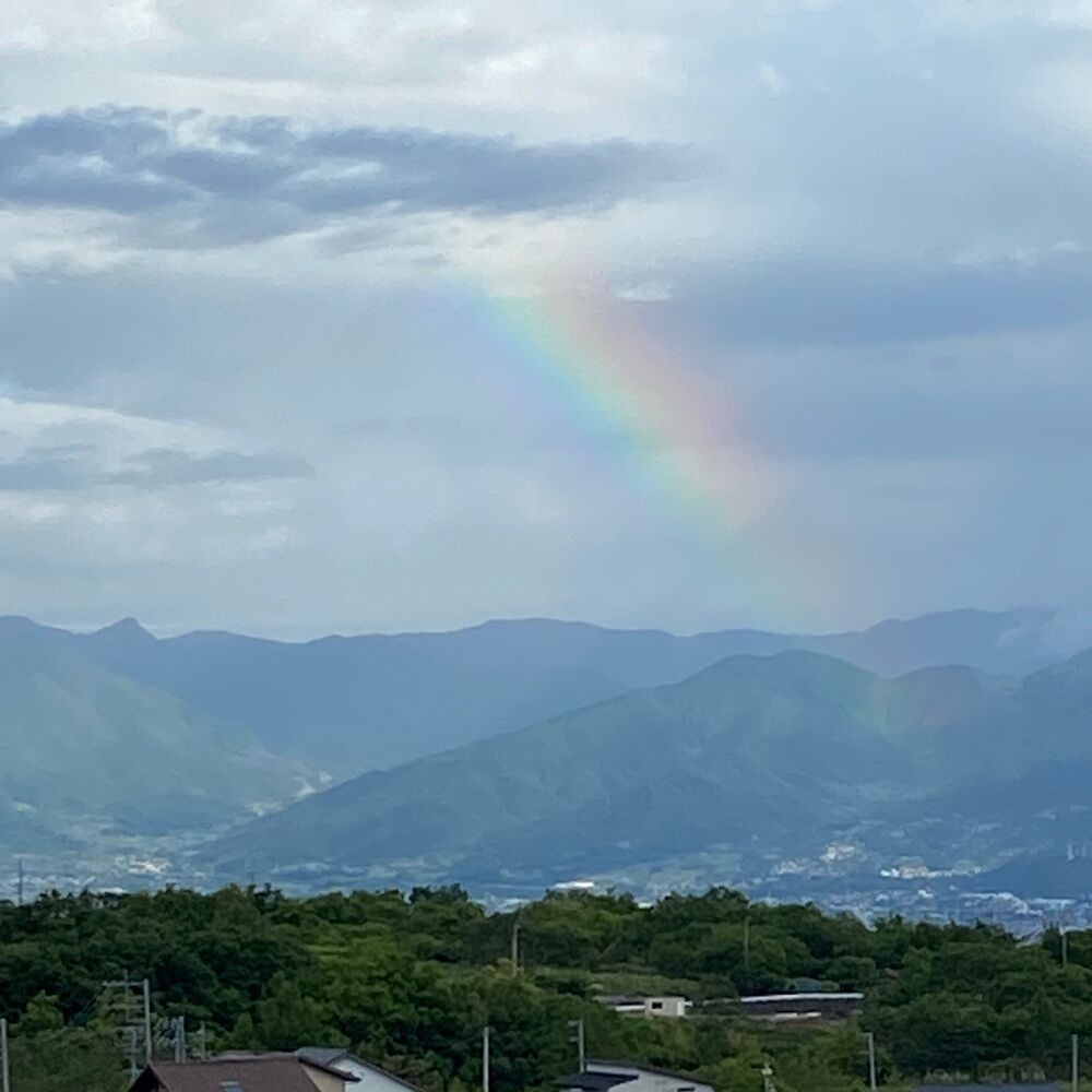 画像2466